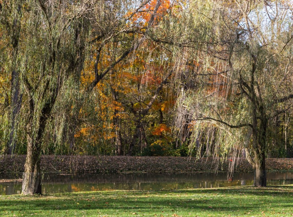 Holcomb Gardens Indianapolis Indiana
