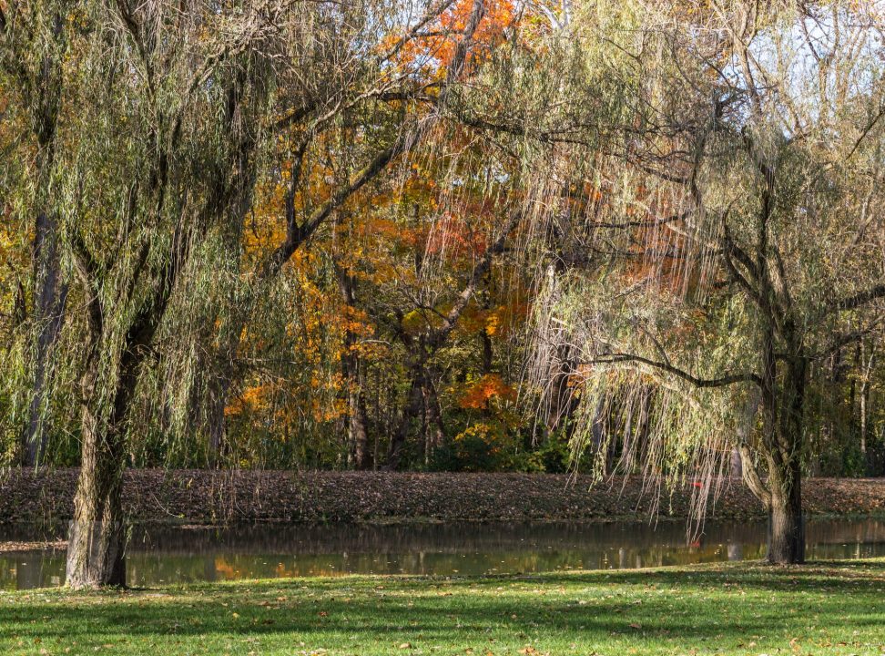 Holcomb Gardens Indianapolis Indiana