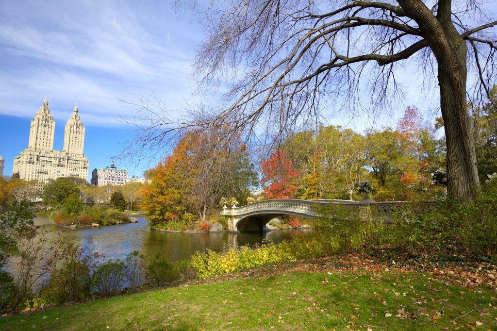 NYC Central Park