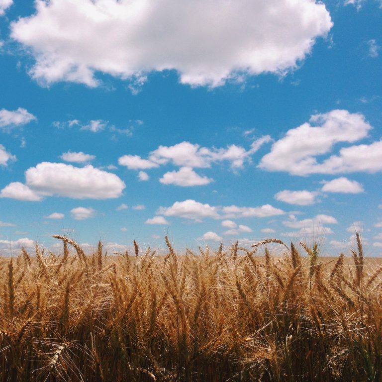 Oklahoma