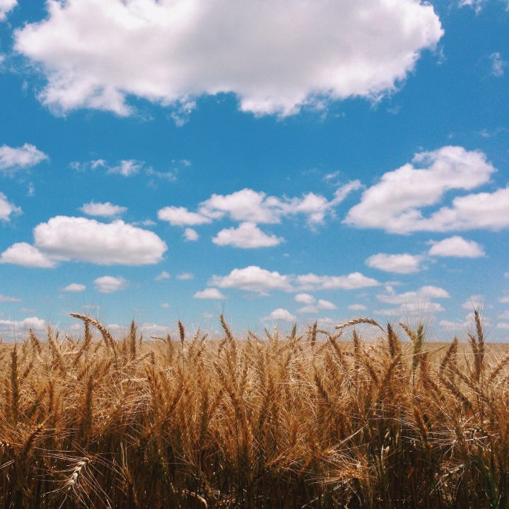 Oklahoma