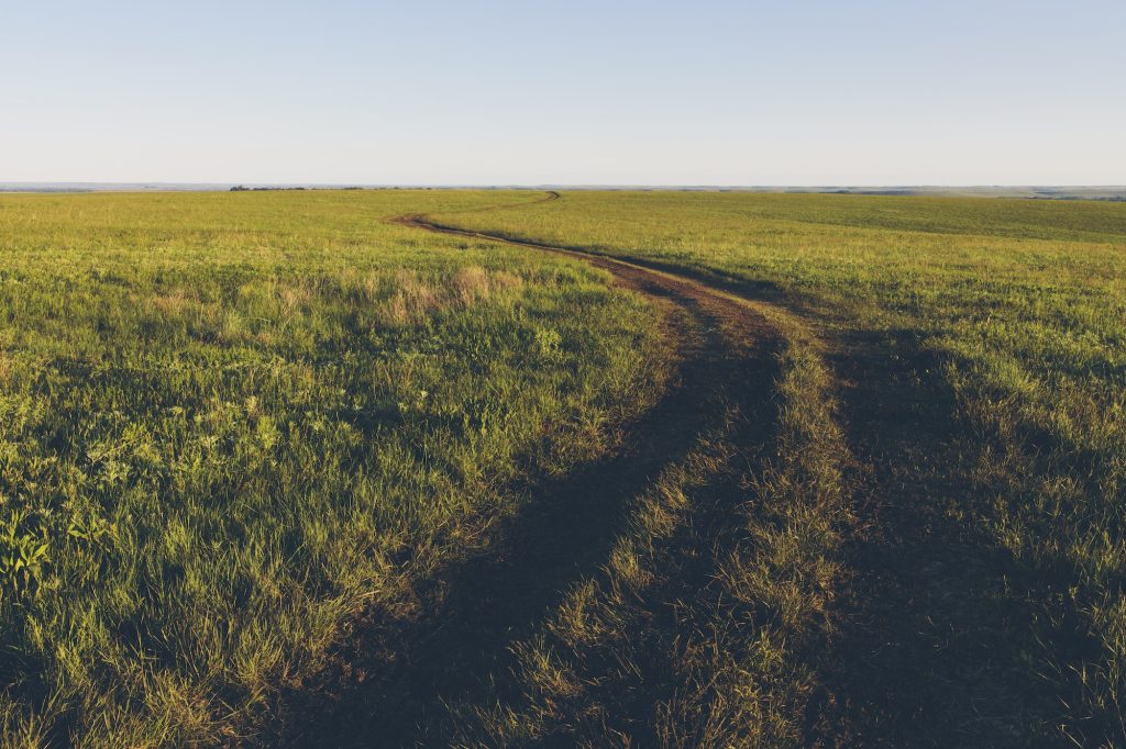 View across the wide open space of the Tallgrass Prairie Preserve in spring, with lush grass and a