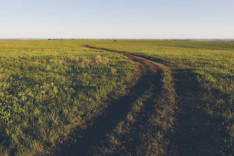 View across the wide open space of the Tallgrass Prairie Preserve in spring, with lush grass and a